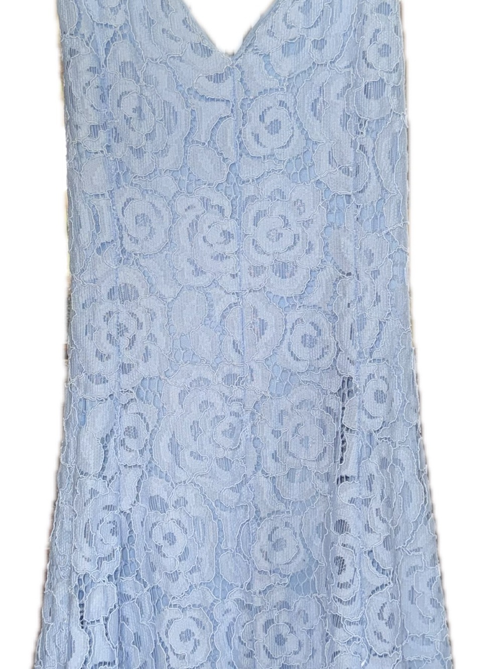 Windsor Light Blue Floral Lace Skater Mini Dress